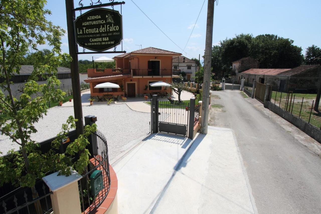 Azienda Agrituristica La Tenuta Del Falco Piedimonte San Germano Bagian luar foto