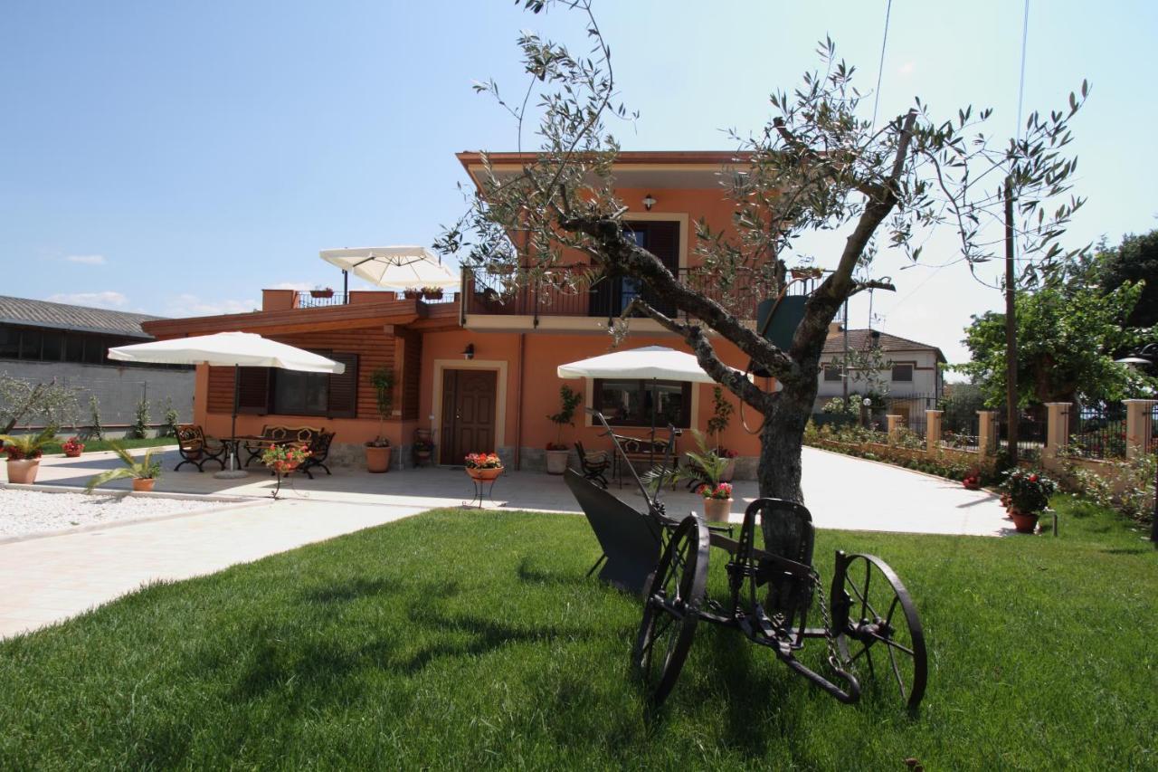 Azienda Agrituristica La Tenuta Del Falco Piedimonte San Germano Bagian luar foto