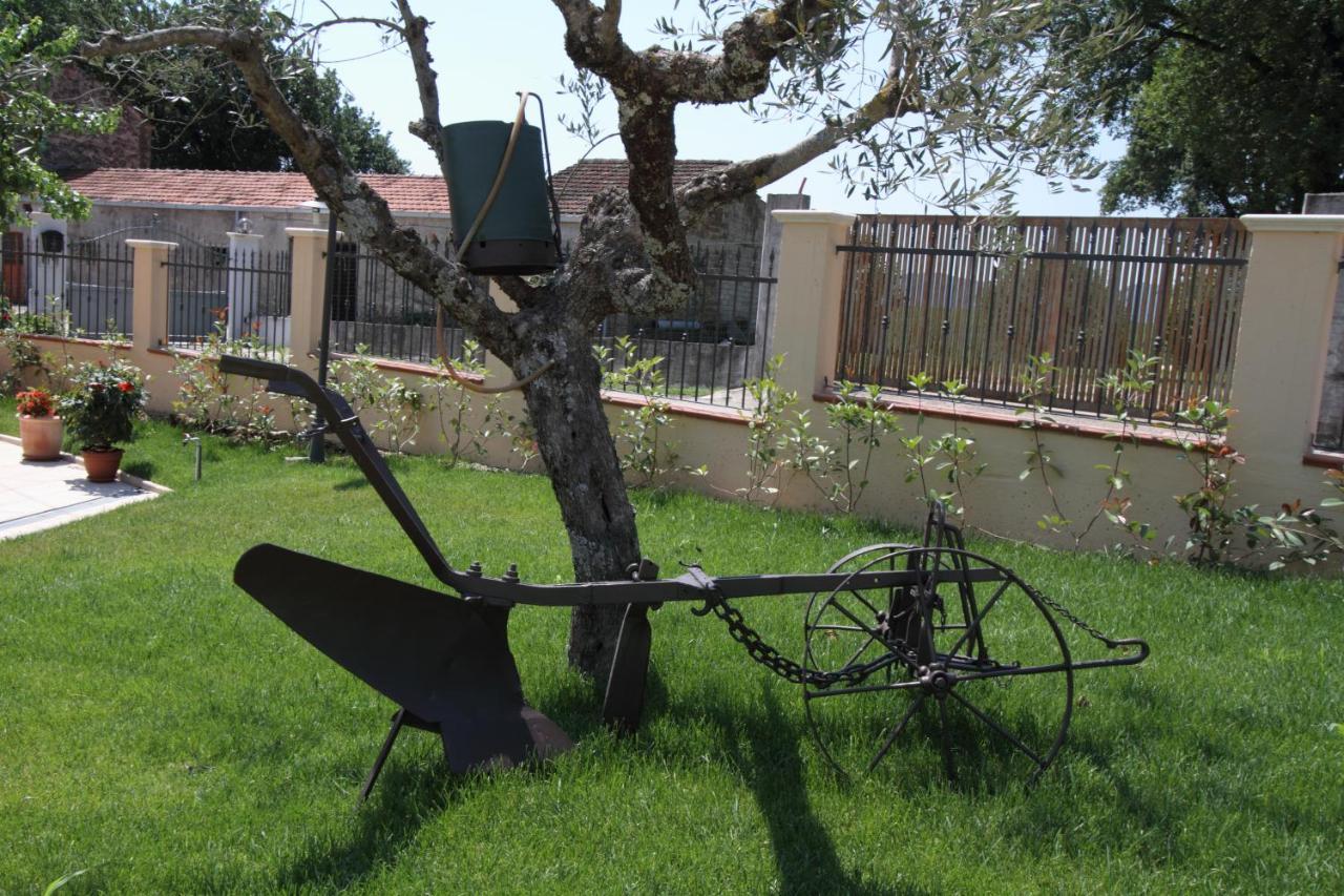 Azienda Agrituristica La Tenuta Del Falco Piedimonte San Germano Bagian luar foto