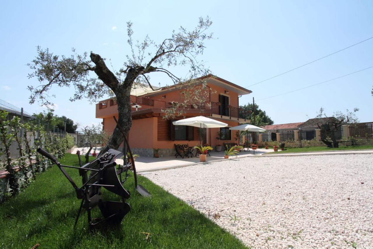 Azienda Agrituristica La Tenuta Del Falco Piedimonte San Germano Bagian luar foto